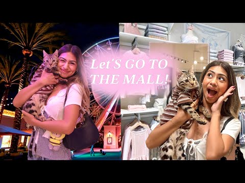 LET'S GO TO THE MALL WITH JASPER! He loved it or hated it??