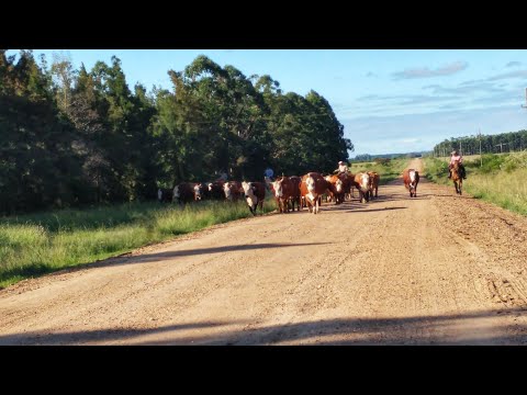 DPTO MONTE CASEROS, Corrientes, ARGENTINA. Marzo 2024