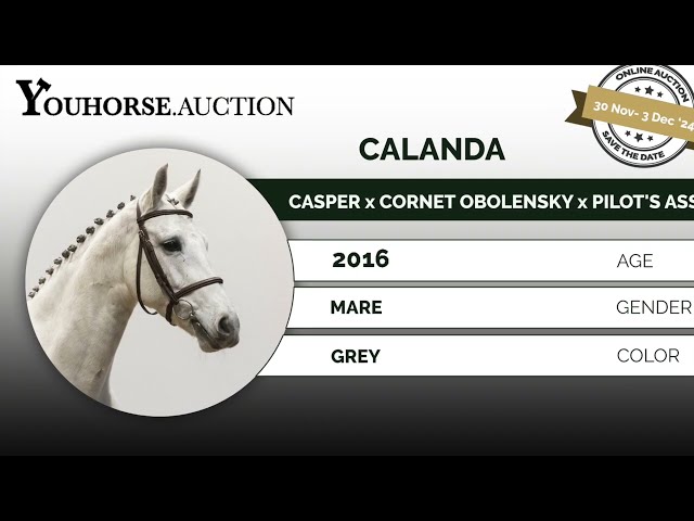 Calanda trainingsvideo