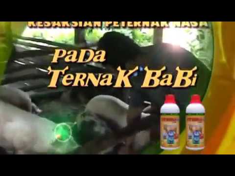 Jelatang dan madu untuk potensi Penis kecil yang postur terbaik