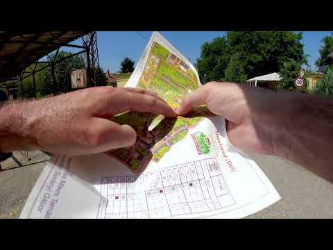 10. Tisza-tó kupa tájékozódási futóverseny, Tiszafüred 2022 délelőtti futam