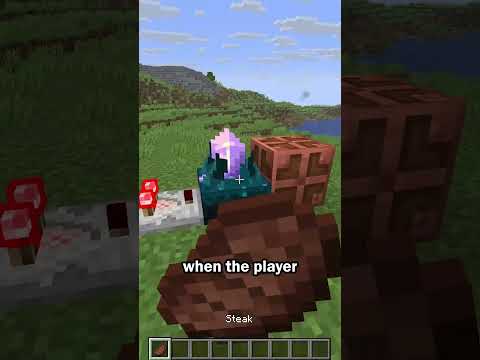 Dried kelp secret entrance