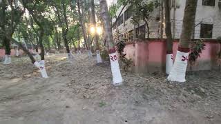 অত্র কার্যালয়ের প্রাঙ্গণে অবস্থিত বৃক্ষসমূহ