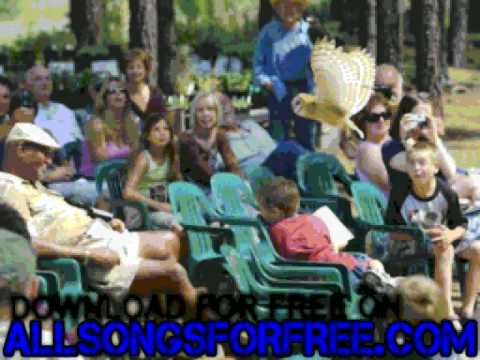 Bring the People Together - Live