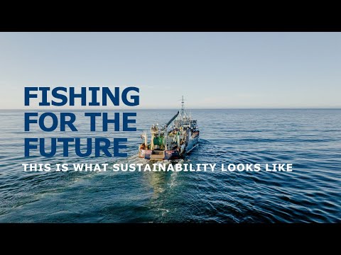 The Human Side of the Wild Alaska Pollock Fishery
