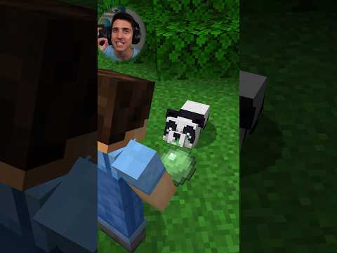 4 stvari koje niste znali o #minecraft #legendarno