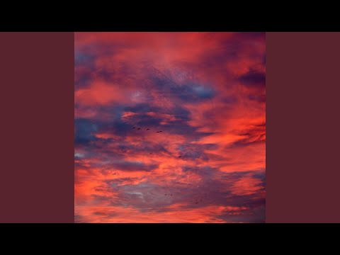 es la vida que elegimos