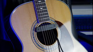 Fishman Neo-D Humbucking Acoustic Pickup - What To Know & Where To