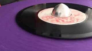 HALF PINT ~ Greetings