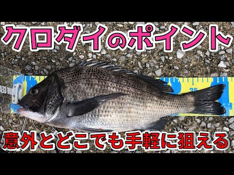 スケールモデル