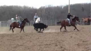 preview picture of video 'Team roping at Portells.MTS'