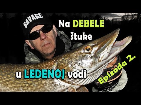 Debele ŠTUKE na male silikonce u ZIMSKOJ JUŽINI - Cannibal shad 2/2 / VSP Igor Pavičić