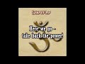 SOULFLY - SEEK 'N' STRIKE (Lyric Video)