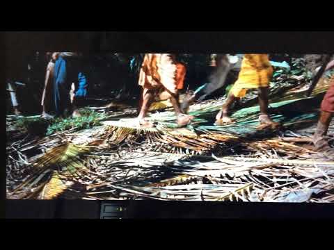 Swiss Family Robinson Tiger Trap