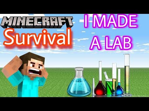 Ultimate Minecraft Survival Lab Build