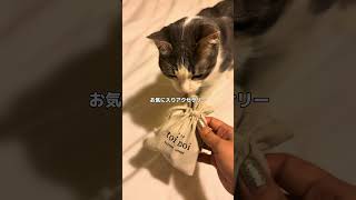 パリ在住冬のスペイン旅3泊4日パッキングVlog #パリ生活#スペイン旅行#ヨーロッパ旅行#パッキング