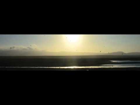 DAVI - Metanoia (Original Mix)