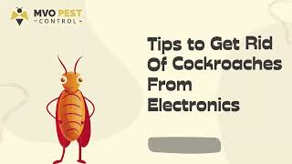 Tips to Get Rid Of Cockroaches From Electronics - MVO Pest Control