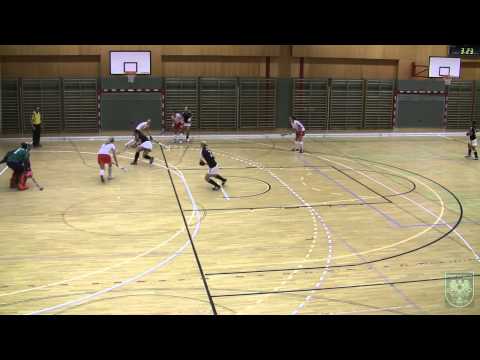 DamenA   Post SV - SV Arminen  1:7  (11.01.2014)