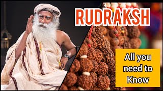 Rudraksh - All you need to know  Sadhguru Explains