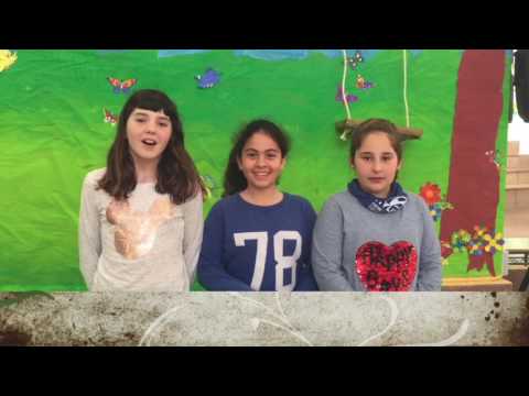 Escola Barceló i Matas