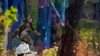 Fayette County Bigfoot Photo and what it means for the Patterson Footage