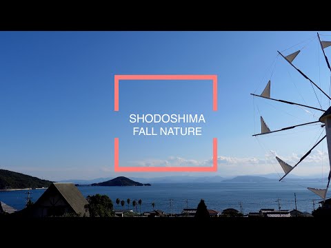 【小豆島町】秋の自然 FALL NATURE