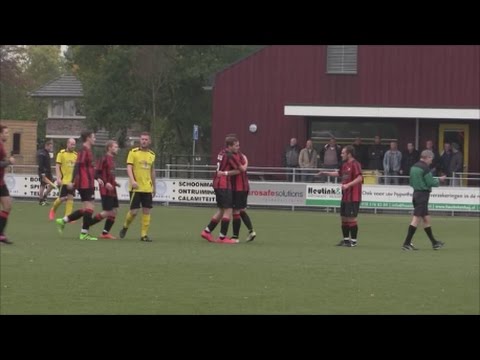 Zalk - Reaal Dronten