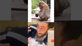 Download lagu Asupan meme viral #shorts #memengakak mp3 Download lagu Asupan meme viral #shorts #memengakak mp3