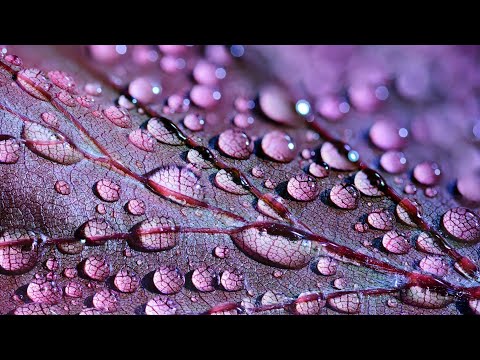 Wonderful Planet Earth #Beautiful Animals & Nature