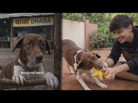 Soni – My First Dog 🐶 | Storytelling