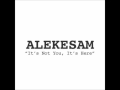 Alekesam - It's Not You, It's Here 