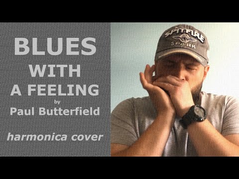 Blues With A Feeling | Paul Butterfield (acoustic cover)