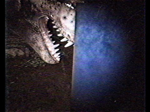 Jurassic Park - Found Footage: Outpost B (Analog Horror)