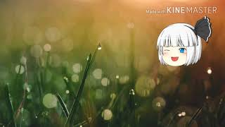 今回は報告動画です！