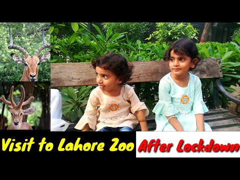 Visit to Lahore Zoo After Lockdown | Lahore Zoo 2020 | Kitchen With ...
