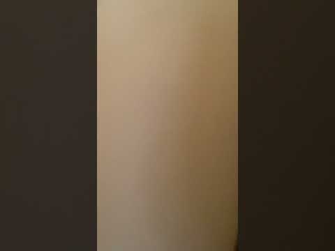 2827 W. Bobolink Ave - Video 2 of 2