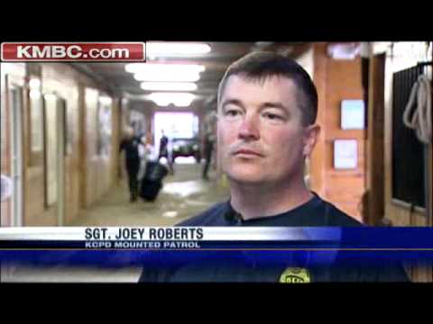 Horses To Help Corral Parade Crowds