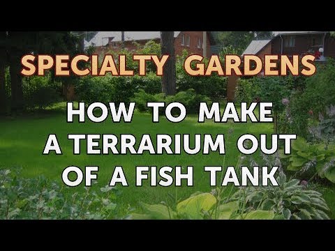 How to Extract Fragrances From Plants