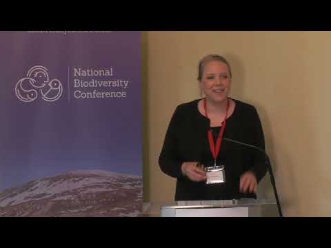 Business for Biodiversity: Driving nature-positive business models