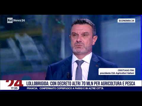 RAINEWS 24 - In diretta il presidente Cia sulle risorse stanziate dal governo per il caro gasolio