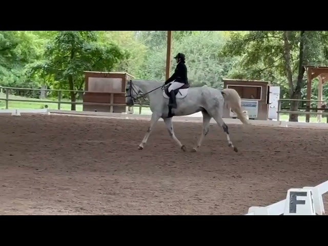 Sf adorable né en 2014