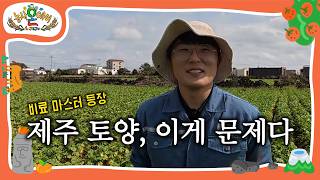 비료 마스터가 밝힌 제주, 내륙 토양의 진짜 문제와 실전 노하우