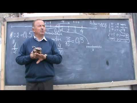 4/7 Lesson 2 - Mathematics is on the notes - Algebra symbols in your understanding with Online Te...