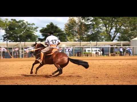 4º lugar:fêmeas Que Bela do Topo da Serra