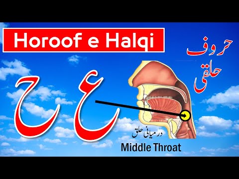Haroof e Halqi Ayn Ha | Tajweed Quran  in Urdu | Tajweed for beginners  | Tajweed rules in Urdu
