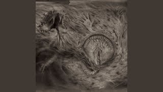 Black Void Revelations