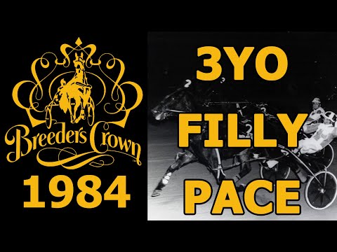1984 Breeders Crown - Naughty But Nice - 3YO Filly Pace