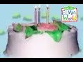 Elmo S World Every Birthday Cake Quiz