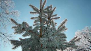 Joy to the World ~ Jason Ward New Age Christmas Holiday Music Video 720p HD